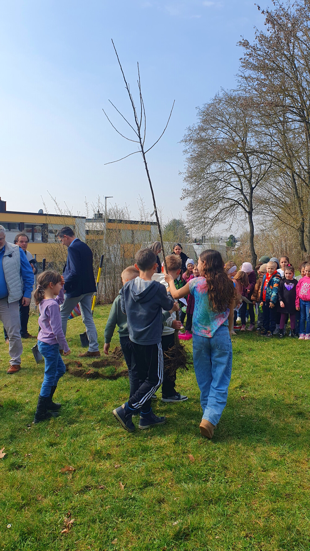 2026 03 20 Baumpflanzchallenge 2