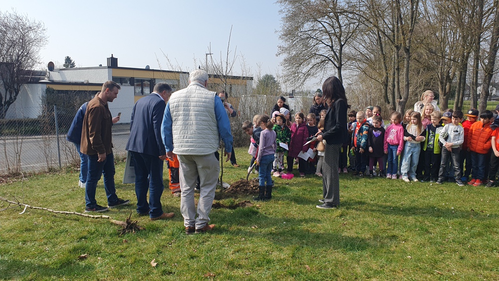 2026 03 20 Baumpflanzchallenge 3